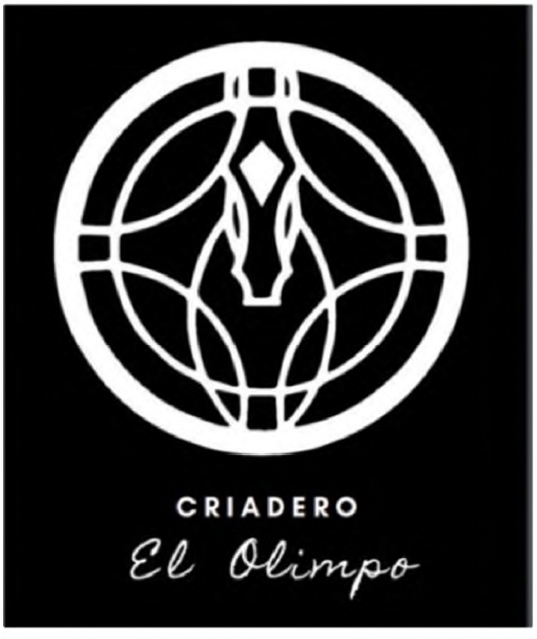 Tipo de Imagen (3)_page-0001