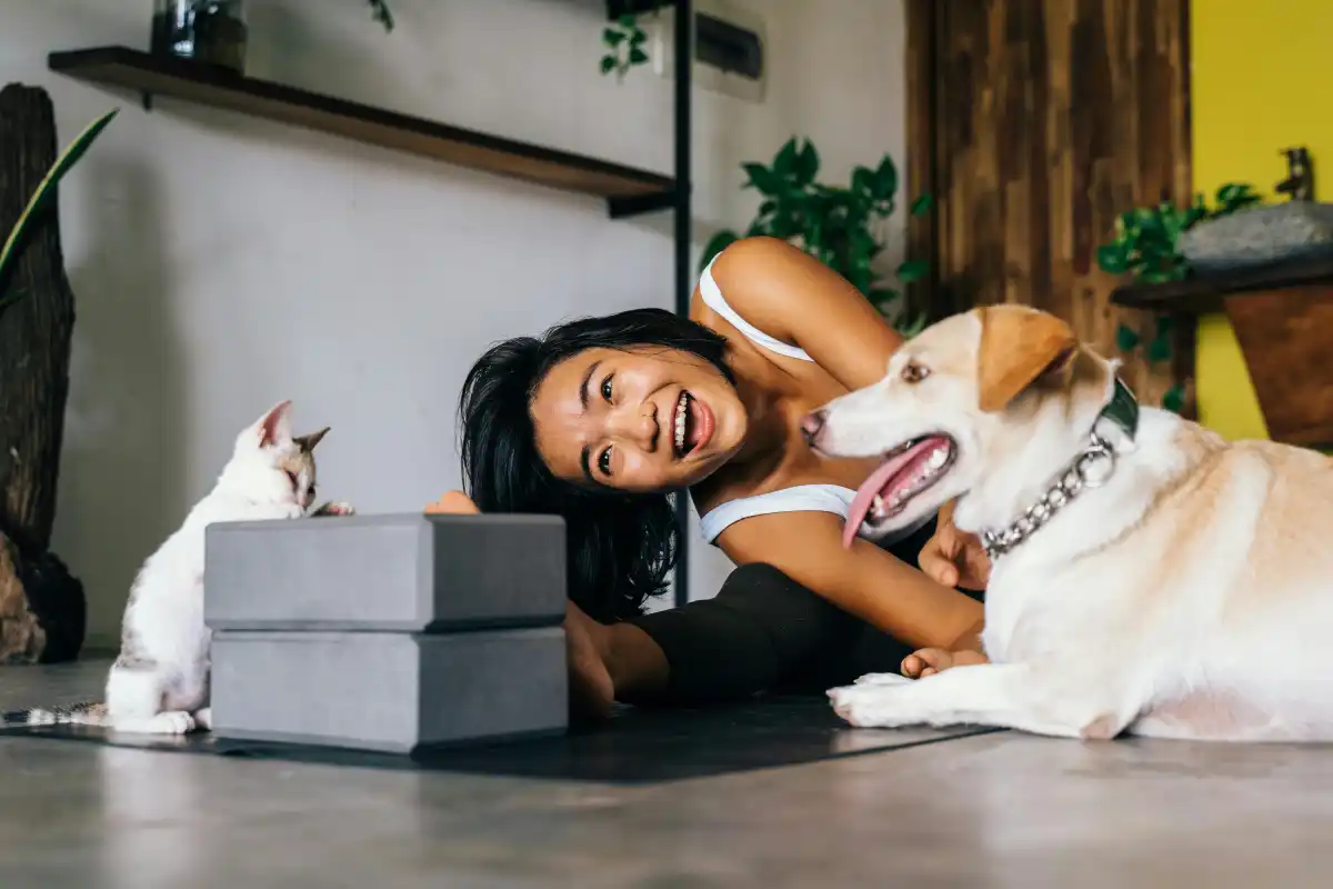 pet travel to colombia
