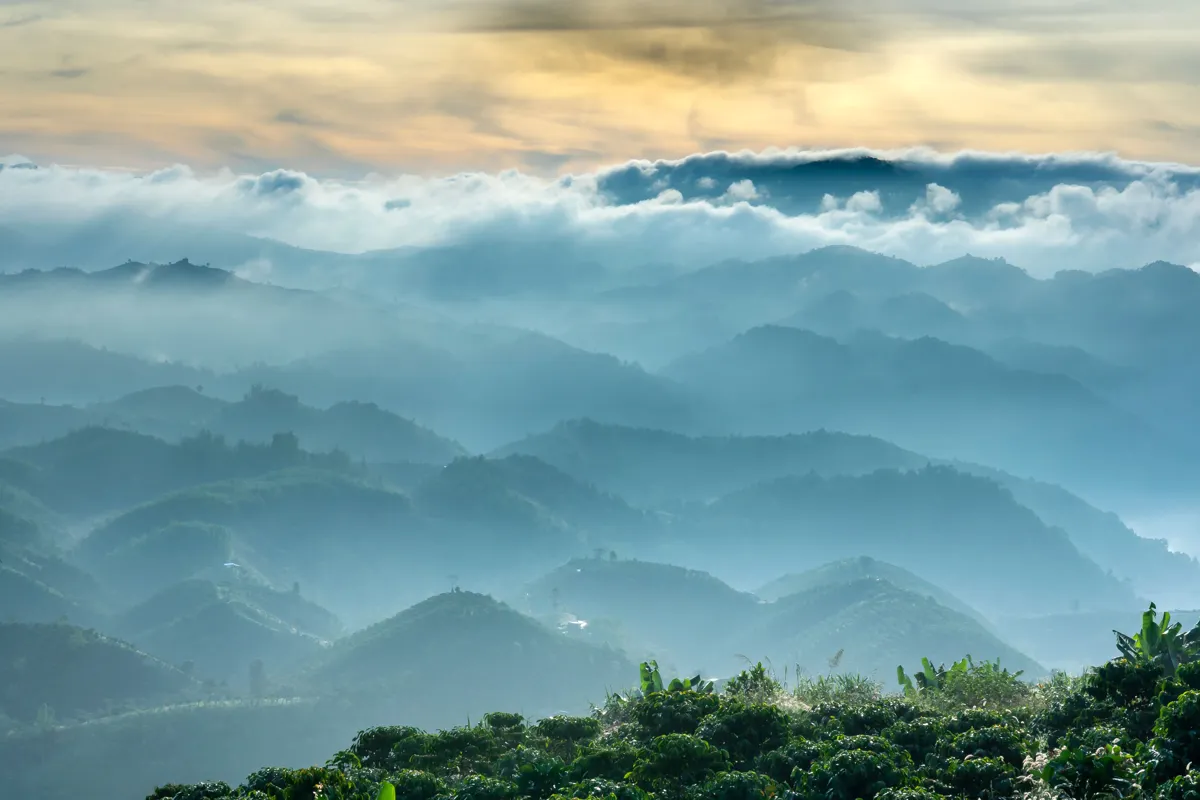 Colombia Retirement Visa 2026: Why Your Pension Might Not Be Enough Anymore misty Colombian mountains in the coffee region